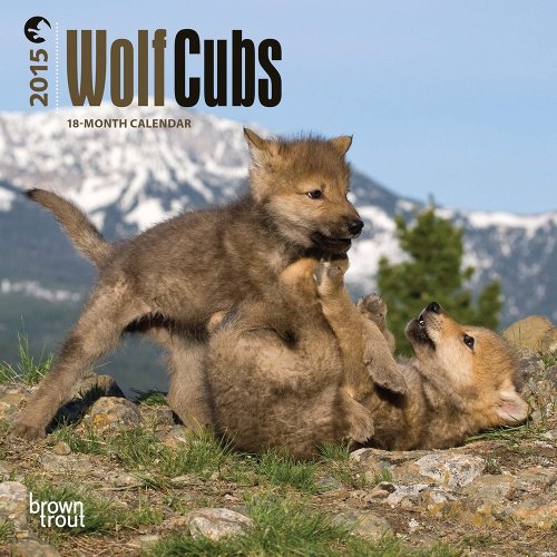 Wolf Cubs 2015 Calendar