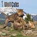 Wolf Cubs 2015 Mini 7X7 (Multilingual Edition)