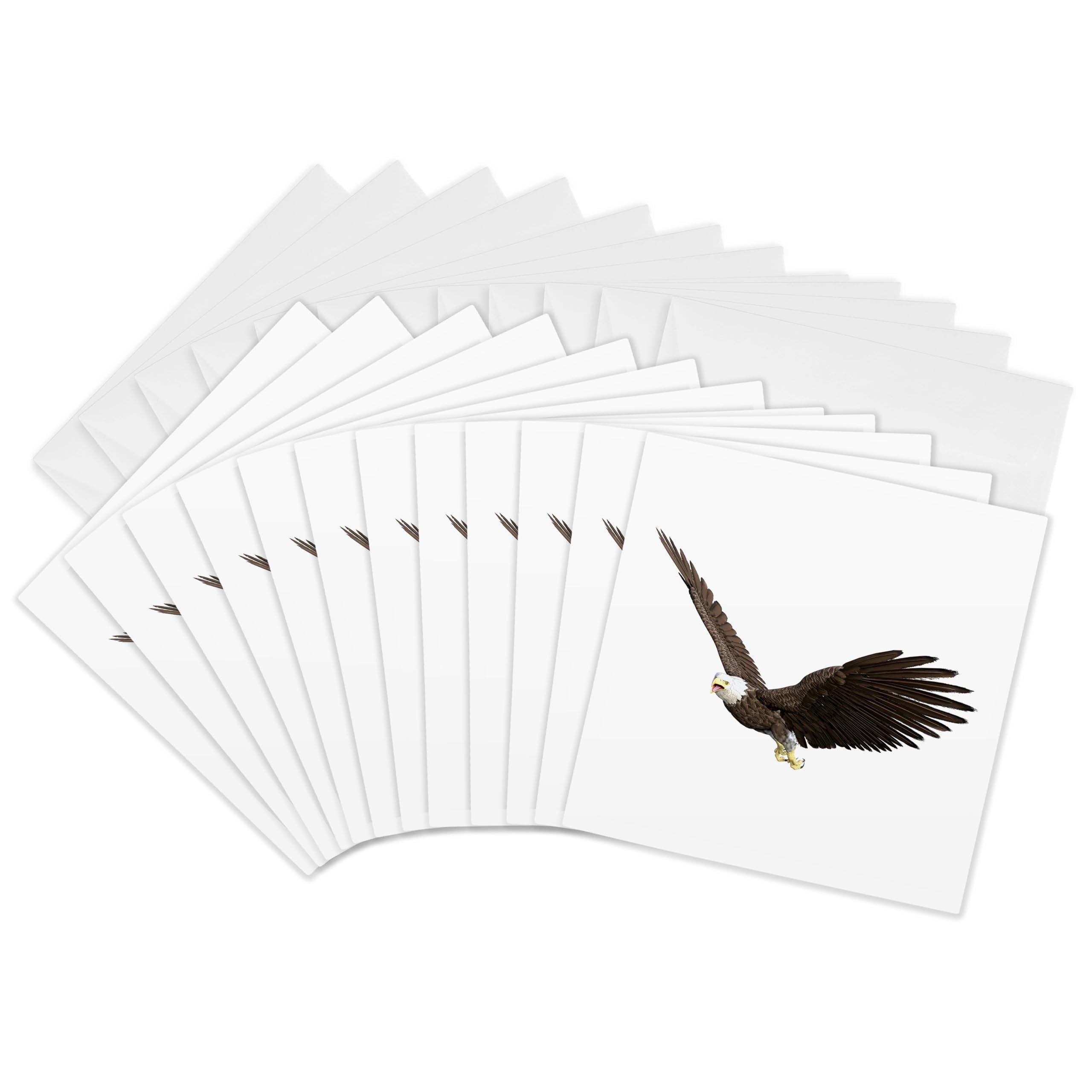 3dRose gc_253966_2 6 x 6-Inch "Bald Eagle Flying with Wings on The Upstroke" Greeting Card (Set of 12)