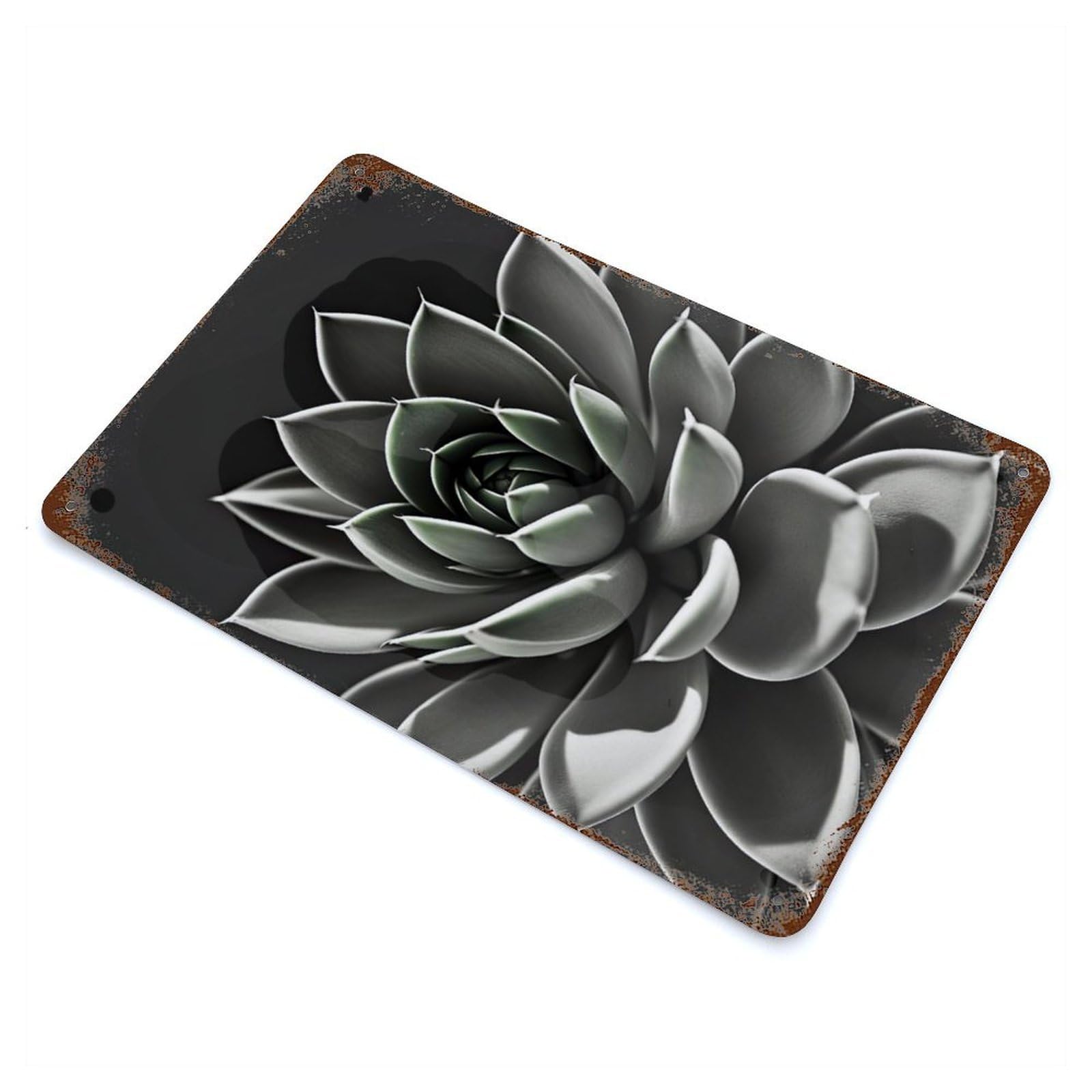 Rust Effect Minimal Succulent Rusty Metal Tin Sign 11.8"x7.9", Old School Wall Decor for Basement, Hobby Room And Garage Decor