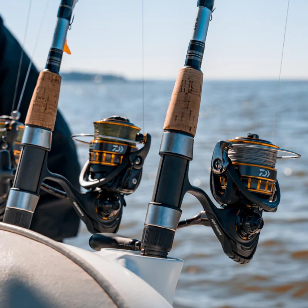 Daiwa Moulinet BG MQ 8000 H ARK