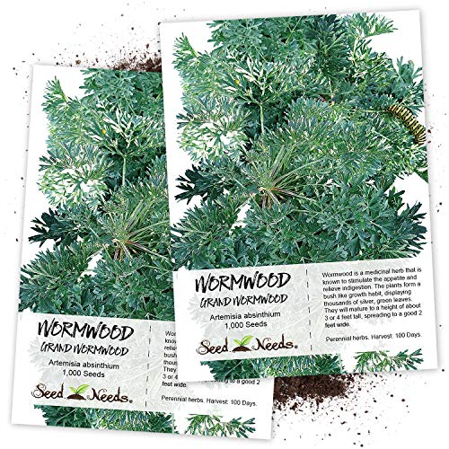 Seed Needs, Wormwood Herb (Artemisia Absinthium) Twin Pack of 500 Seeds Each Non-GMO