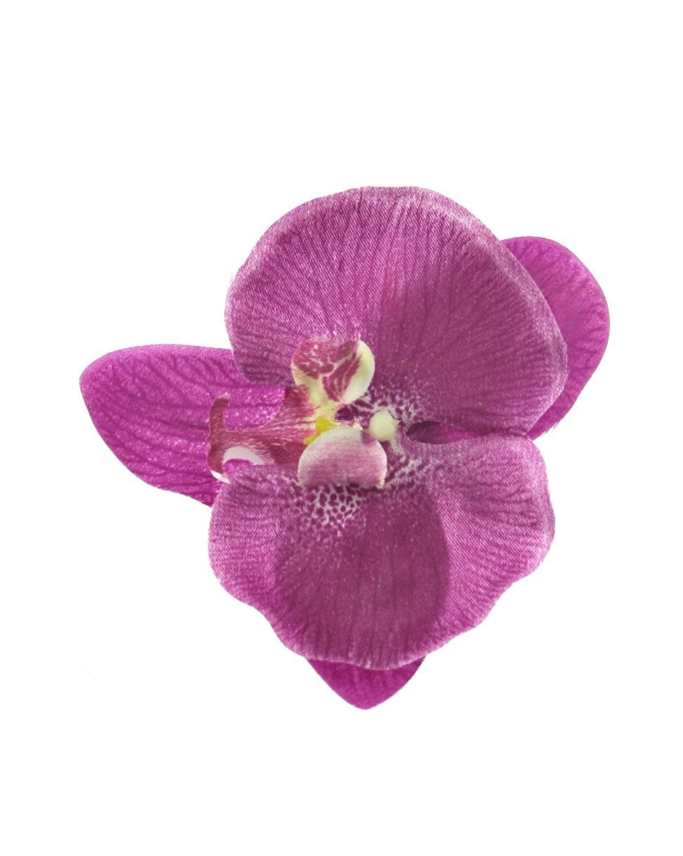 Zac's Alter Ego Orchid on Concord Clip & Brooch Pin