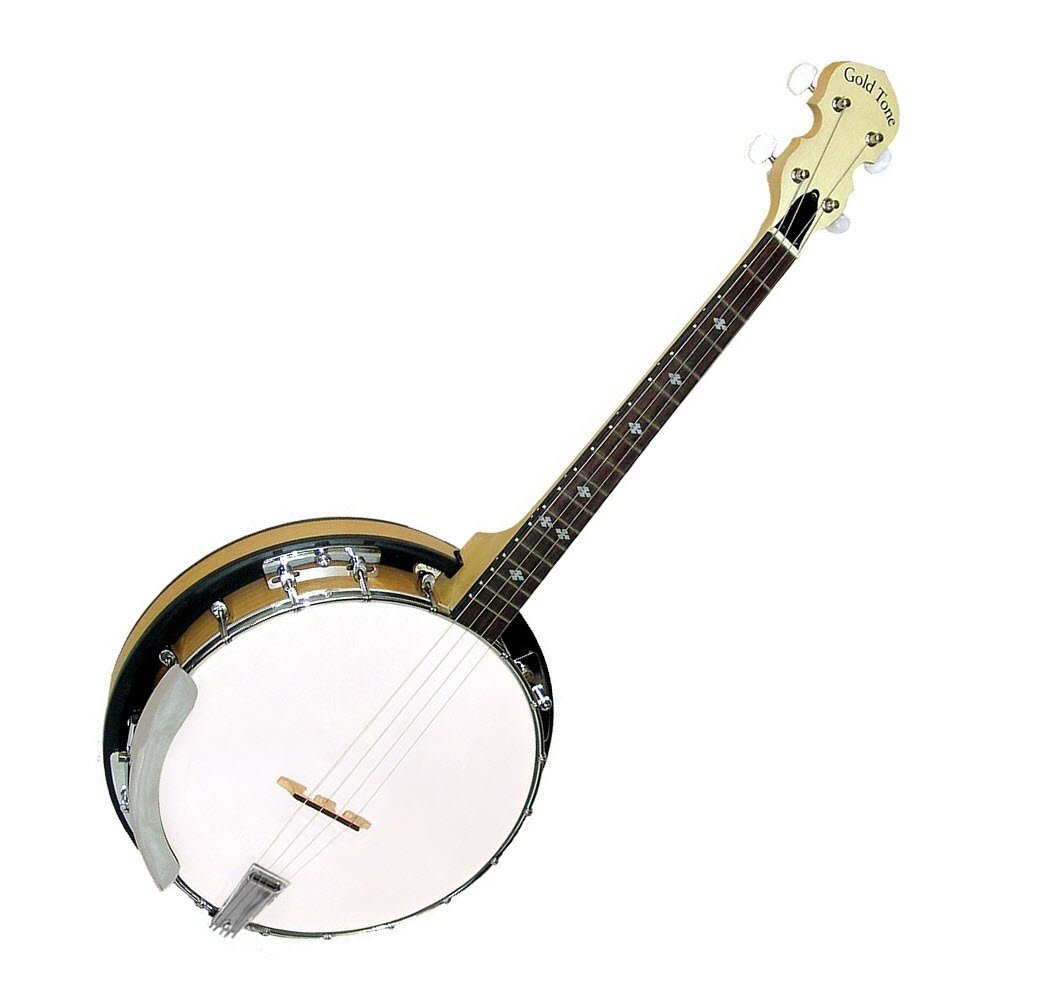 Amazon.com: Gold Tone 4-String Irish Tenor Banjo w/Gig Bag