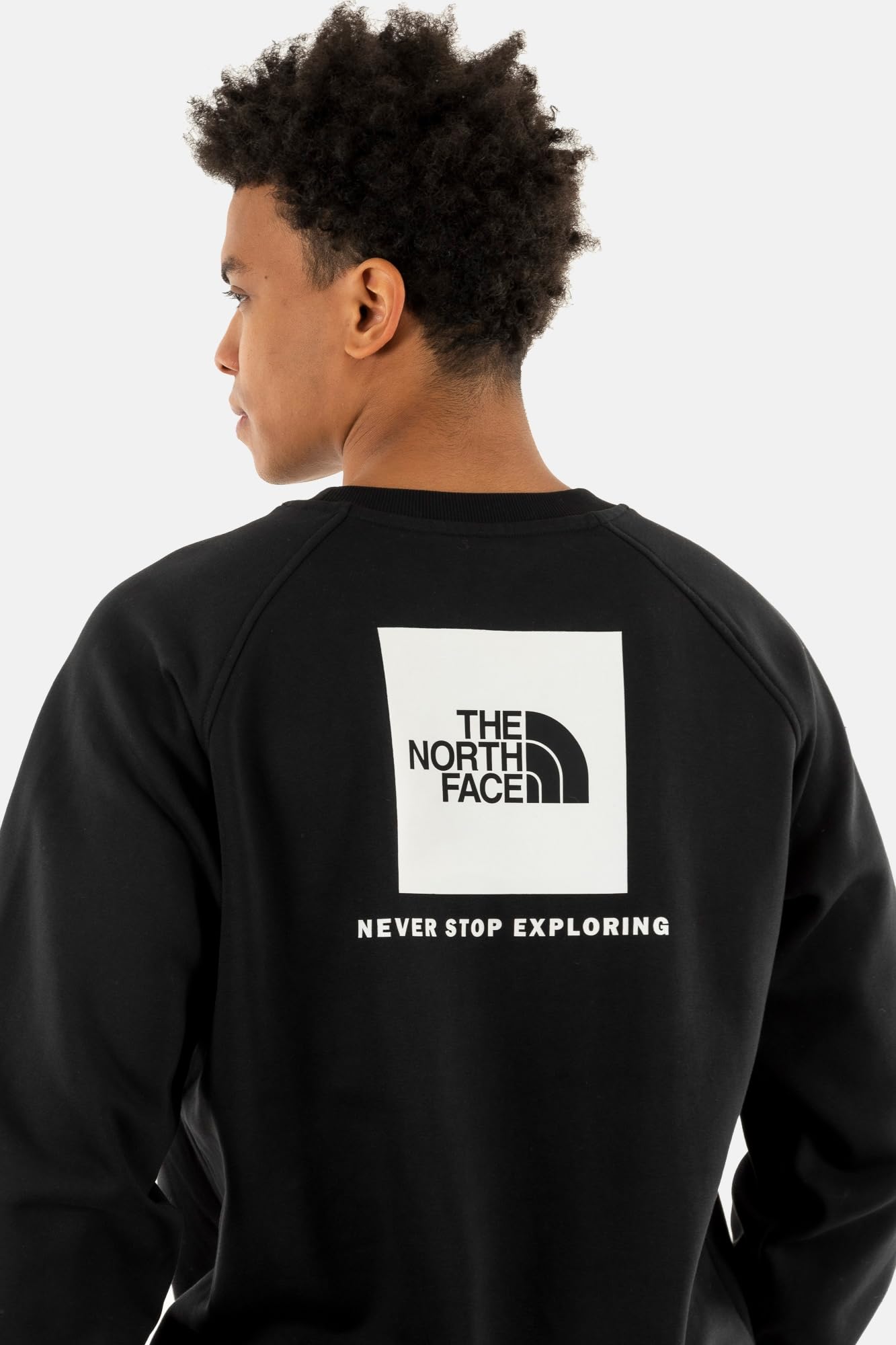 The North Face M Raglan Box NSE Crew Pullover Uomo (Pacco da 1)