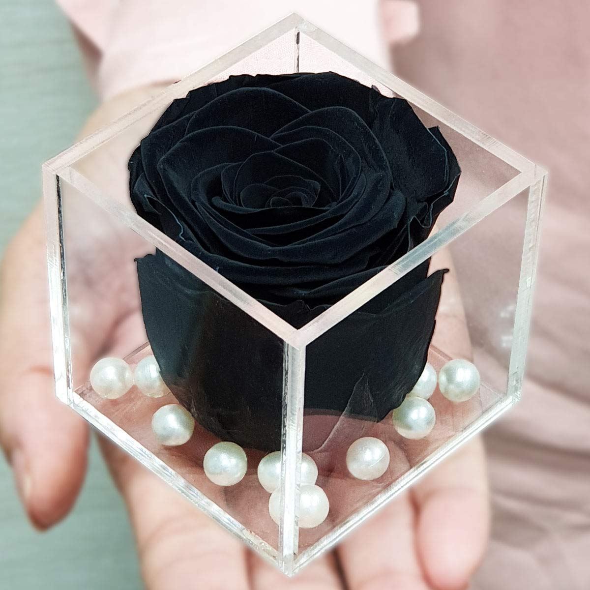 Giftcart Real Preserved Long Lasting Eternal Forever Rose Black (B09XRBLG4D) Amazon Price History, Amazon Price Tracker