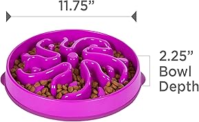 Best Slow Feeders for Dogs Has Been Checked 7 61x iKgVdSL. AC SL289