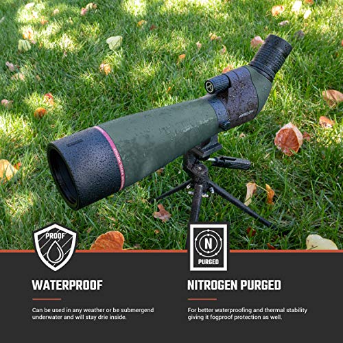 Athlon Optics Talos 20-60x80 Spotting Scope - Straight, Charcoal Grey