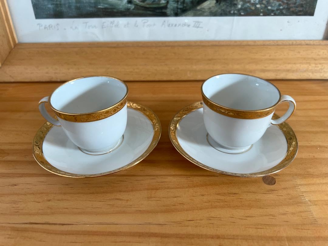 BERNARDAUDベルナルドFusion29.5cm業務用7枚組