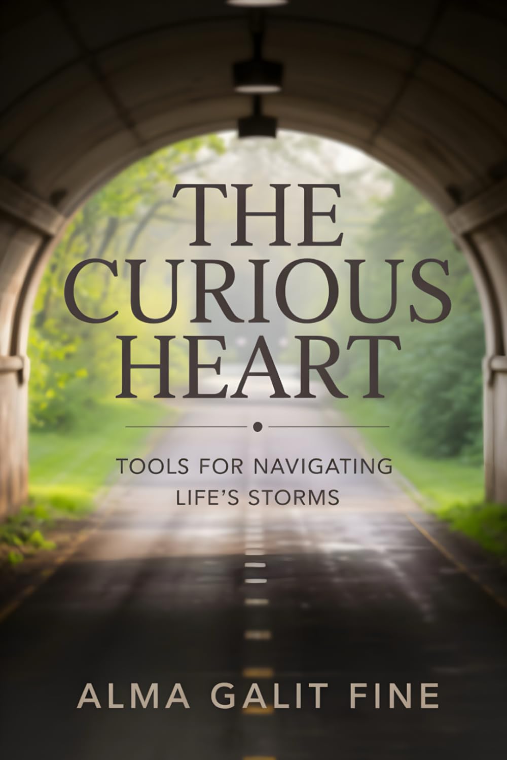 The Curious Heart: Tools For Navigating Life's Storms