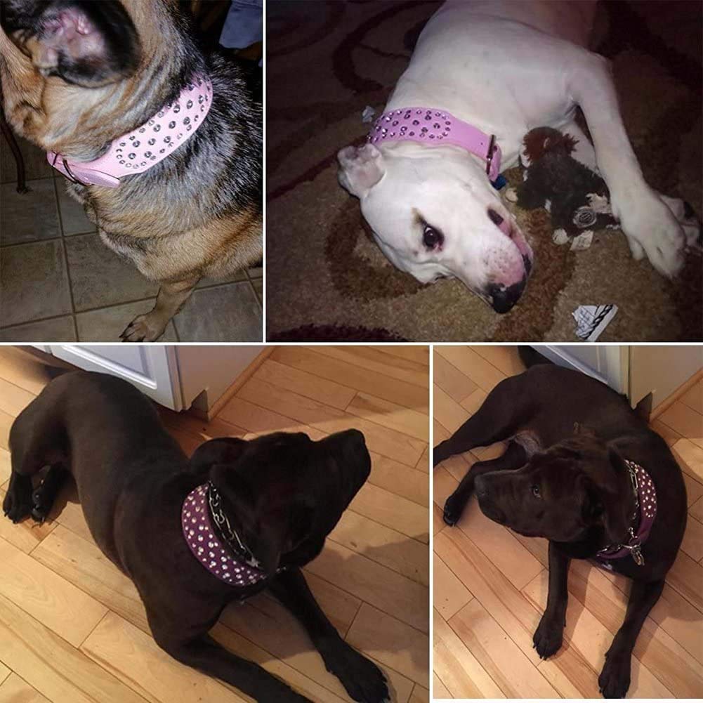 Pokemon Diamante Lucente Collare Per Cani Con Strass Diamantati - Morbido In Pelle Scamosciata, Regolabile Per Taglie Piccole, Medie E Grandi Collare Con Strass Per Chihuahua Yorkie