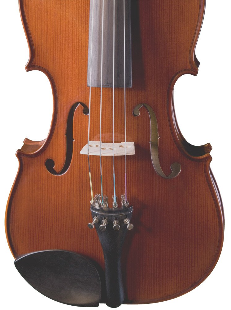Amazon.co.jp: Cremona Premier Student Viola 16