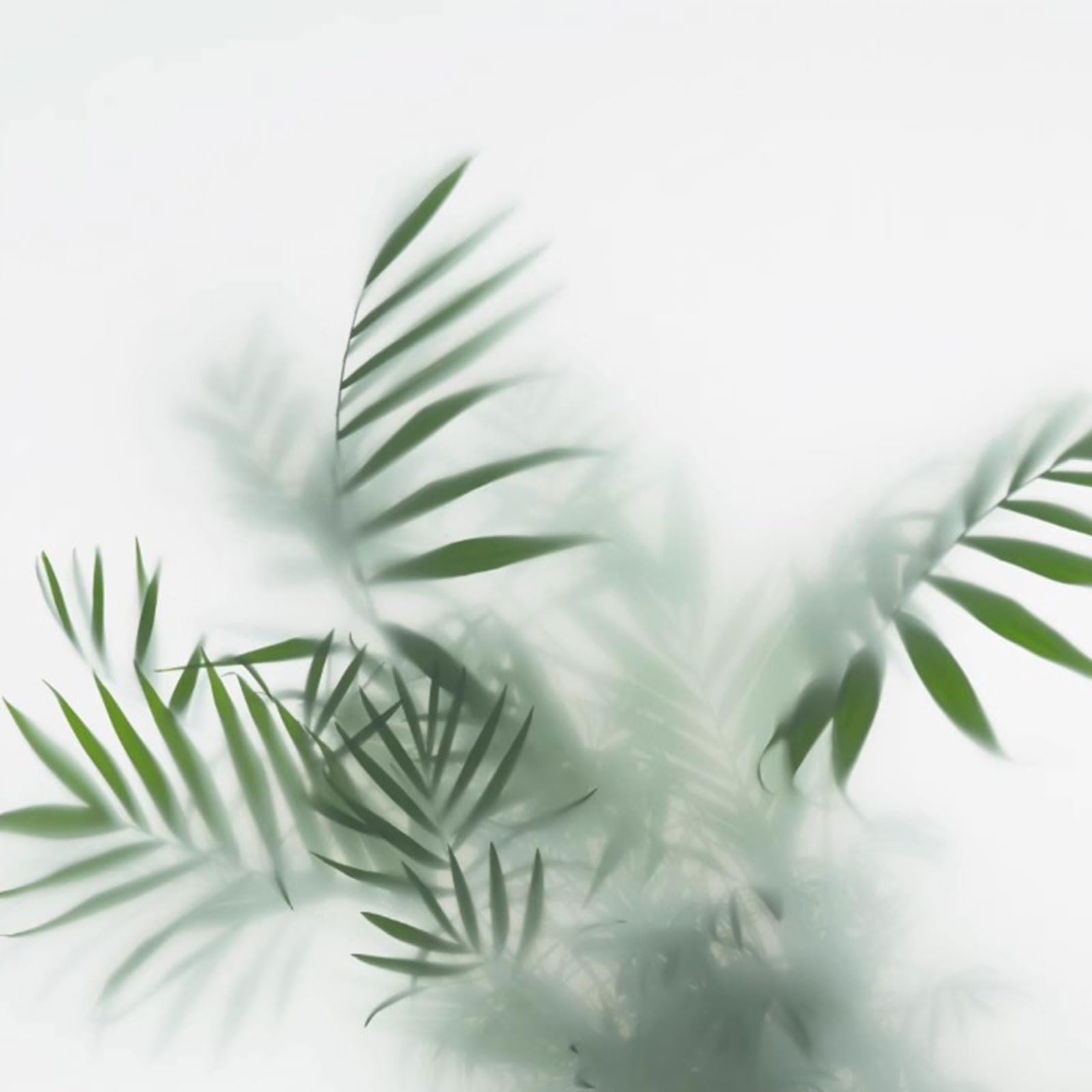 Eiauiuo Green Leaves Privacy Window Film – Frosted Glass Window Sticker, Static Cling, Non-Adhesive, Opaque Decorative Window Film For Home, Self-Adhesive, Window Film For Privacy(Version 2)