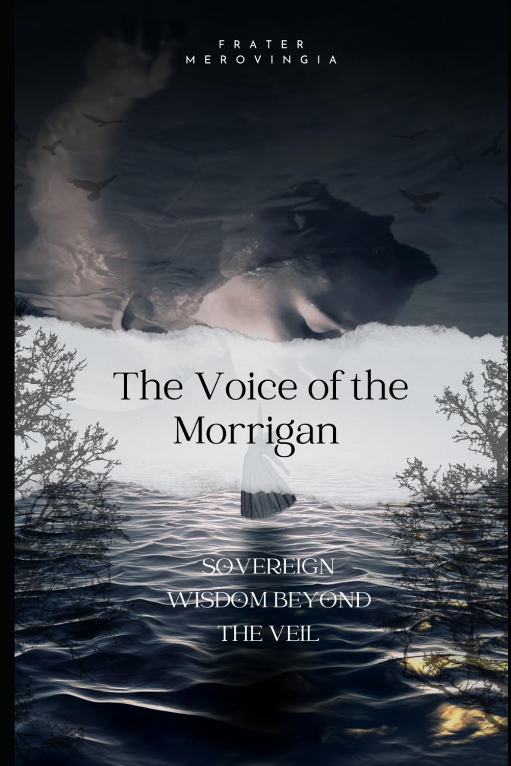 The Voice of the Morrigan: Sovereign Wisdom Beyond the Veil: 3 (Divine Channels)