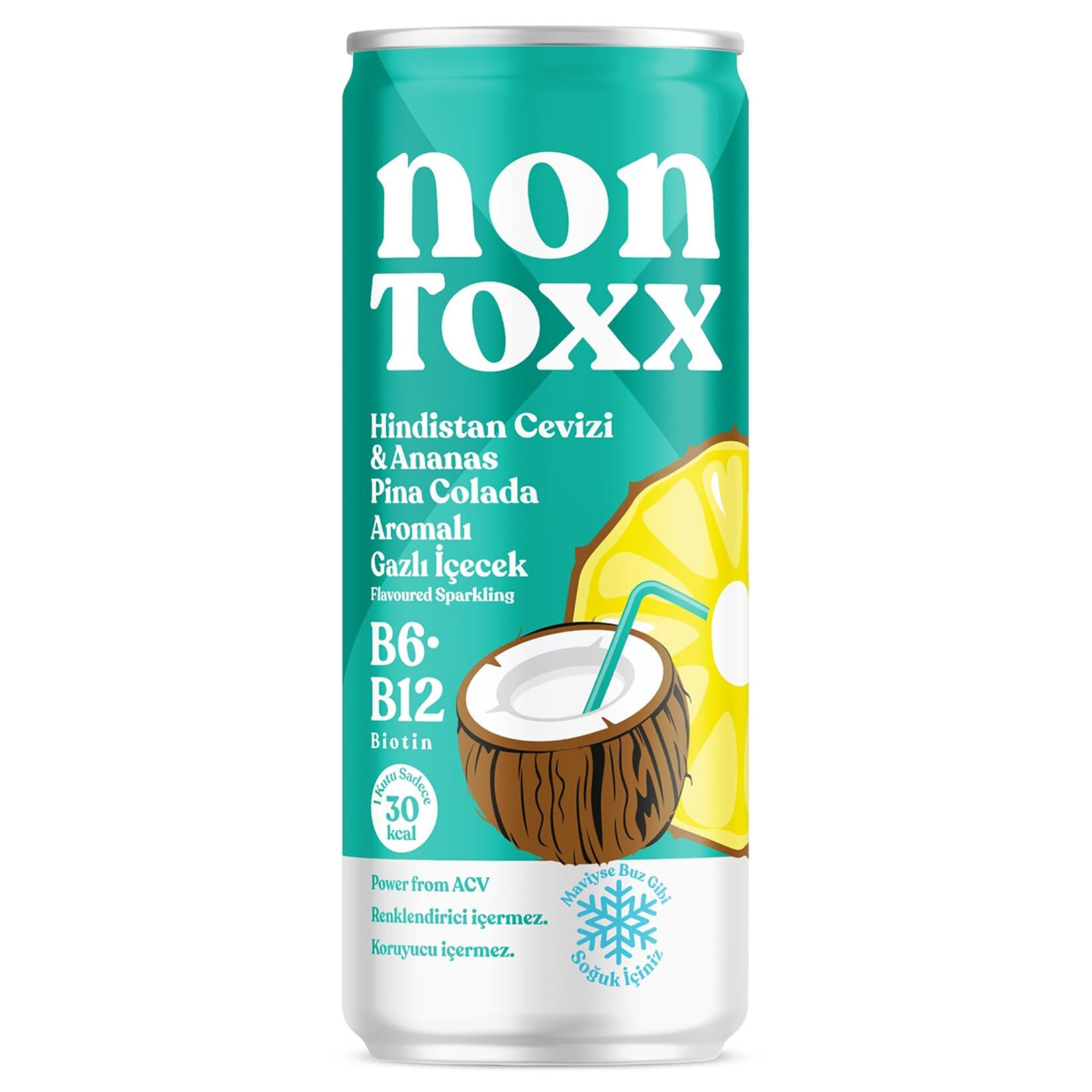 NONTOXX Hindistan Cevizi Ananas Sirkeli Gazlı İçecek 250 ml