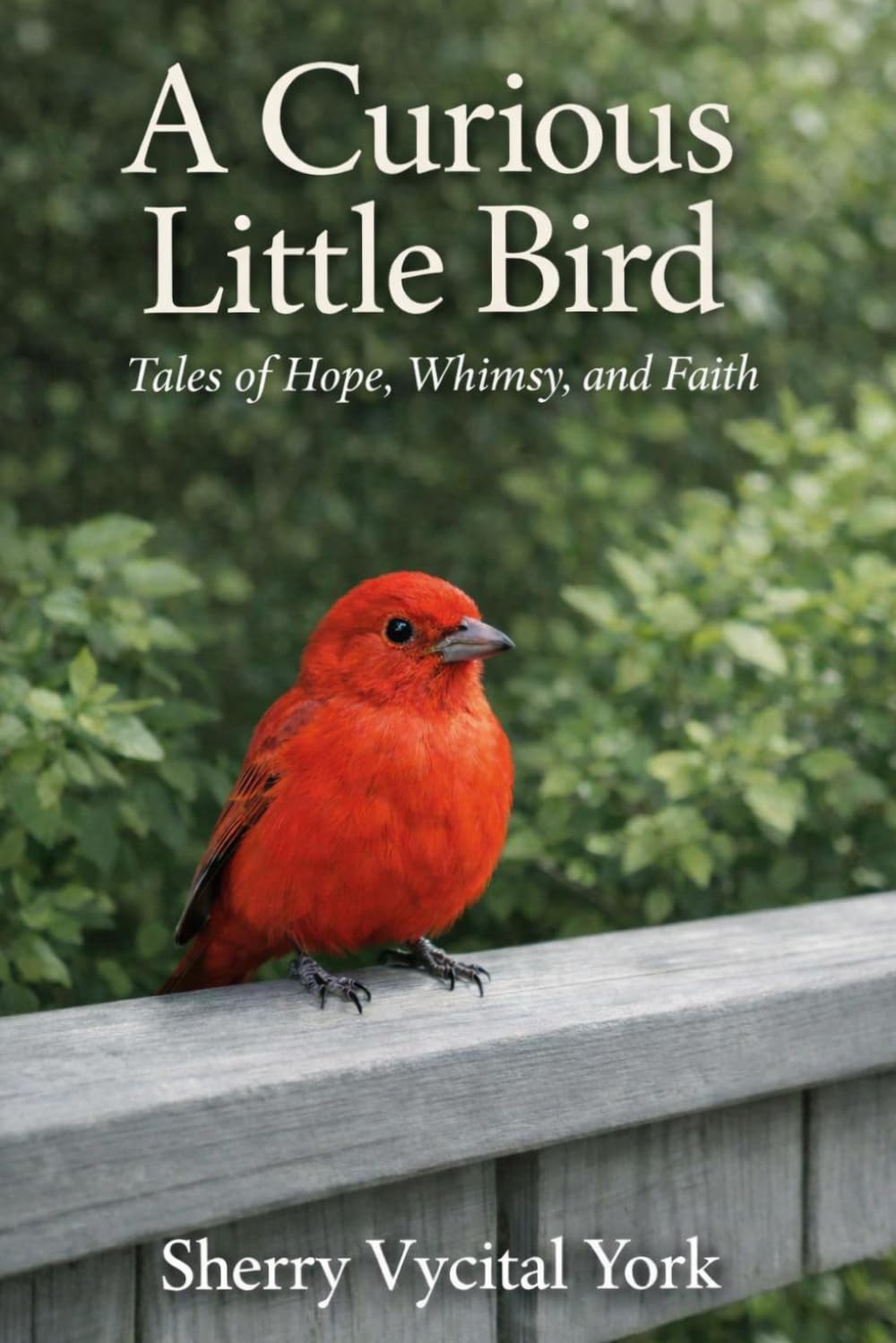 A Curious Little Bird: Tales of Hope, Whimsy, and Faith