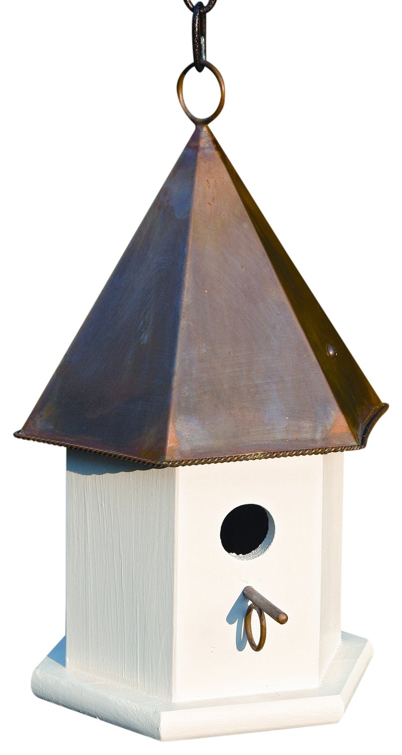 10 Best Woodpecker Bird Houses for Your Backyard Hummingbirds Plus