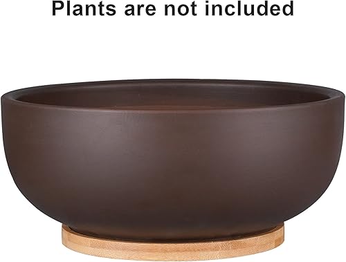Miniatura 4 de Maceta de terracota de 10 pulgadas, maceta grande para suculentas y bonsái con agujero de drenaje y platillo de bambú para plantas de interior,
