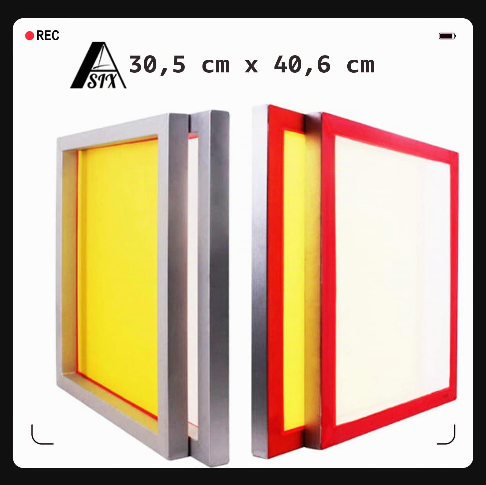 ALSIX 30,5 x 40,6 cm Trockensieb, Aluminium-Siebrahmen, 60, 90, 110, 200 Mesh, Mikron-Äquivalent 250, 165, 150, 75, Polyester-Mesh-Sieb, 4 Stück