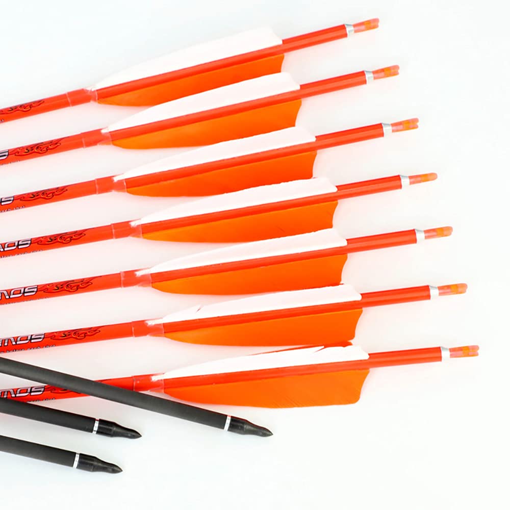 ACCMOS Spine 800 Flechas de Carbono 31" con 4" Pluma Natural, para Arco Largo Arco Recurvo Arco Compuesto Tiro al Arco Caza 12pz (12pcs, Spine 800)