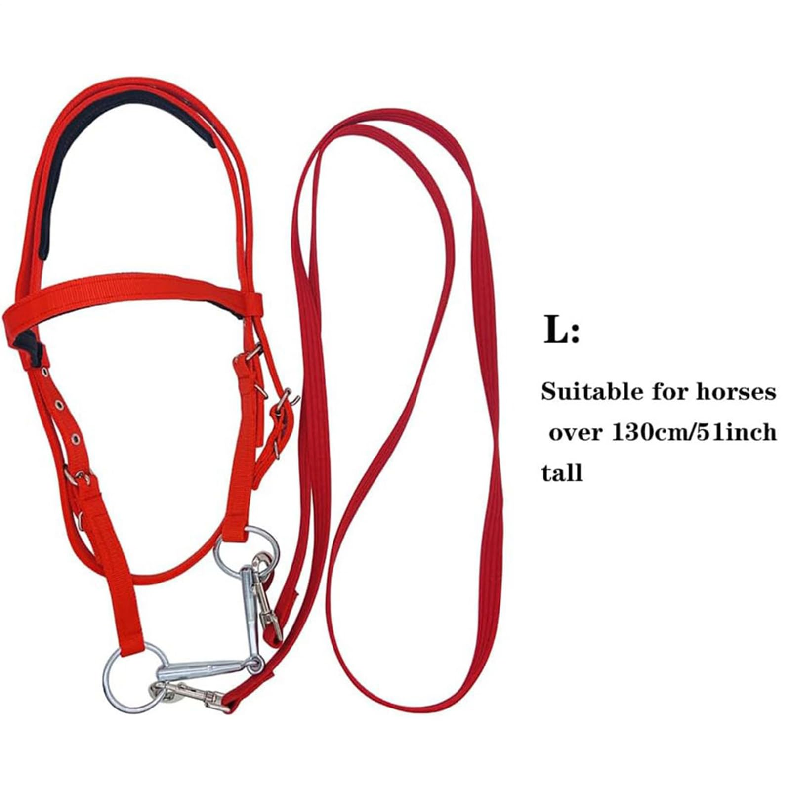 Generisch Zähne für, Kopfstall, Browband Kopfstall für, Einstellbarer bandband für Wanderfahrten, Reitspuren Reitreiten