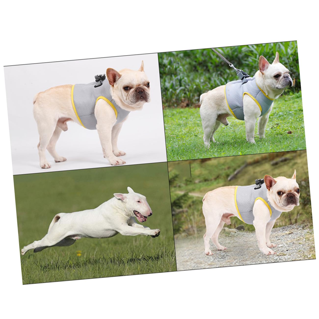 Gilet Rafraîchissant pour Chien Respirant XL pour Activités Extérieures Poitrine Confort Optimal Et Système De Libération Rapide
