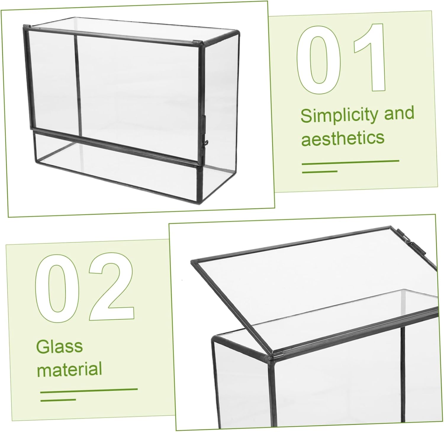 BESPORTBLE Glass Terrarium Planter Miniature Tabletop Ecosystem Holder for Succulents Moss Air Plants Durable Handmade Design