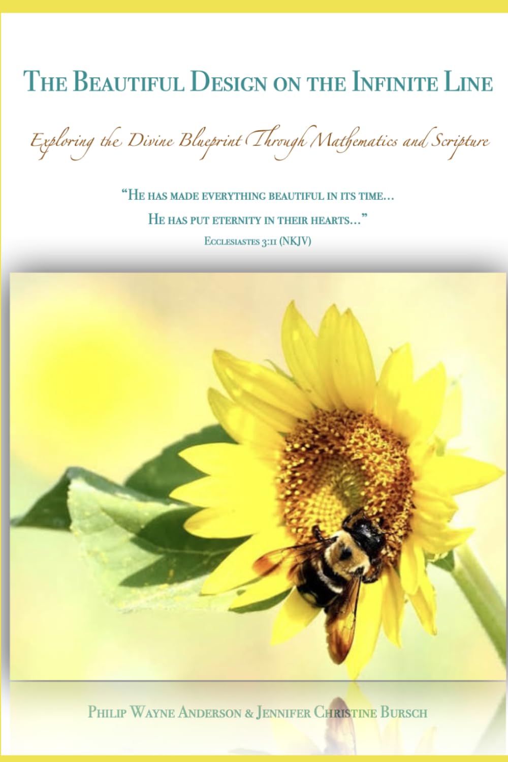 The Beautiful Design on the Infinite Line: Exploring the Divine Blueprint Through Mathematics and Scripture
