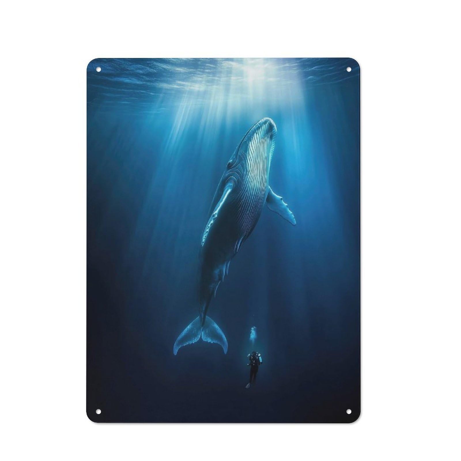 Ocean Humpback Whale Retro-style Tin Sign 40x30cm for Living Room Or Hallway, for Home Wall Decor Collectors Refreshing A Room in Autumn