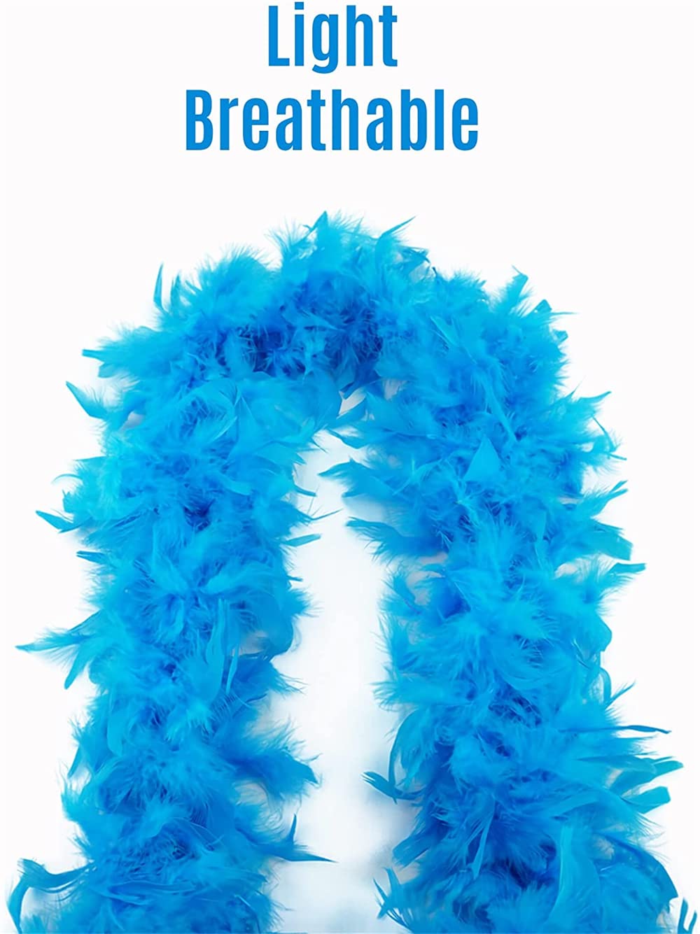 Modèle De Découpe De Plumes De Dinde Plumes De Décoration