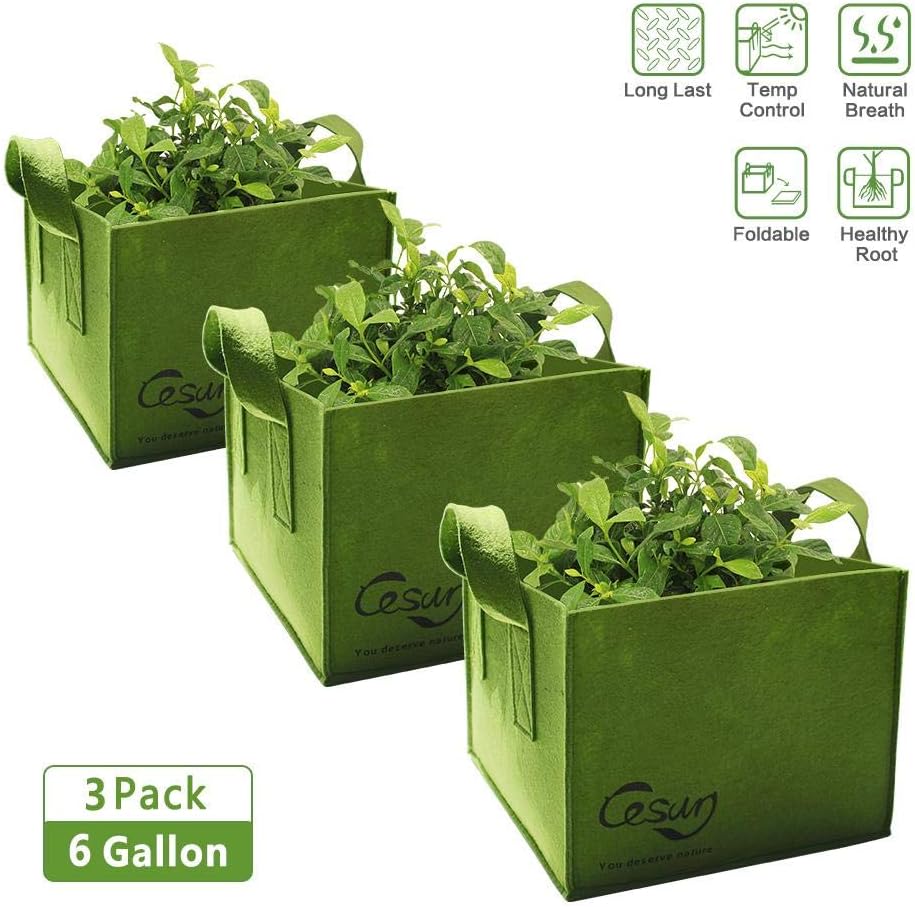 Cesun Square Grow Planter Bag Premium 400G Thickened Fabric Pots 6 Gallon Aeration Fabric Cube with X Stitching Reinforced Handles (6 Gal Green Cube)
