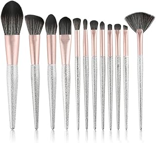 Makeup Brush Set Of 12 Silver Frosted Full Of...