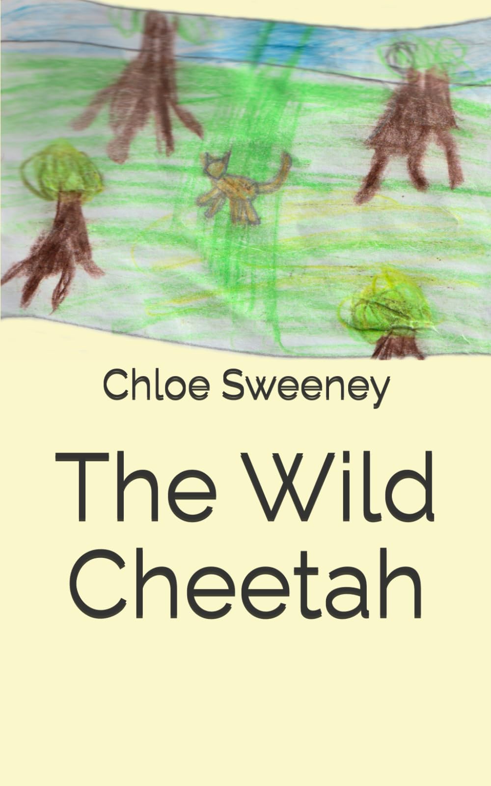 The Wild Cheetah