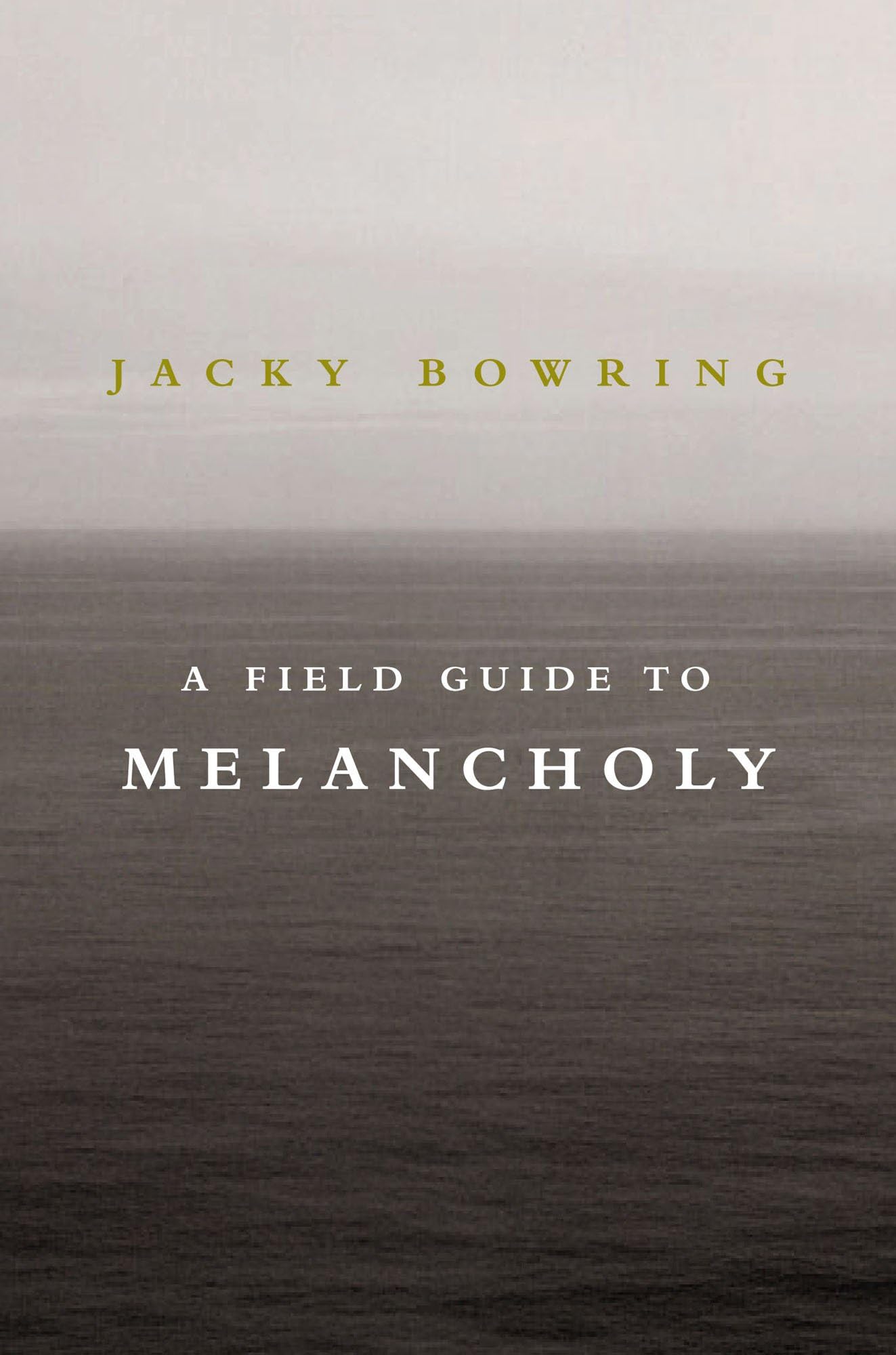 Field Guide to Melancholy, A
