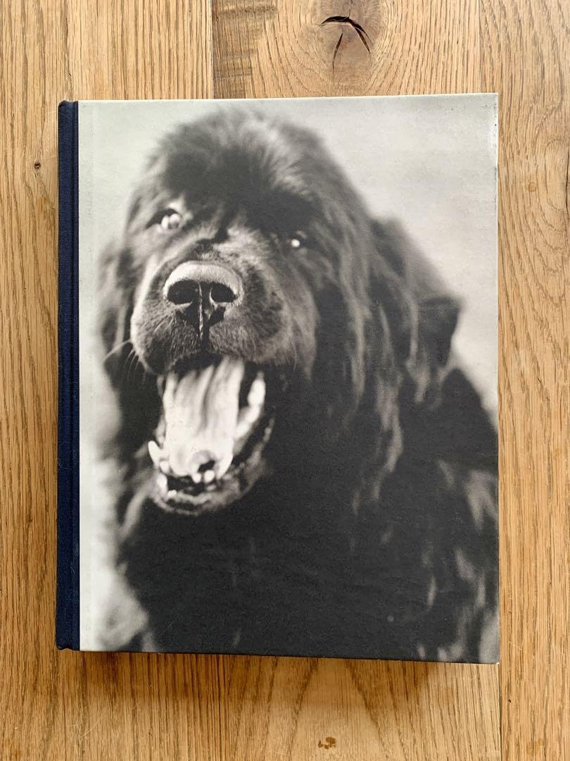 Amazon.co.jp: Bruce Weber GENTLE GIANTS : Home & Kitchen