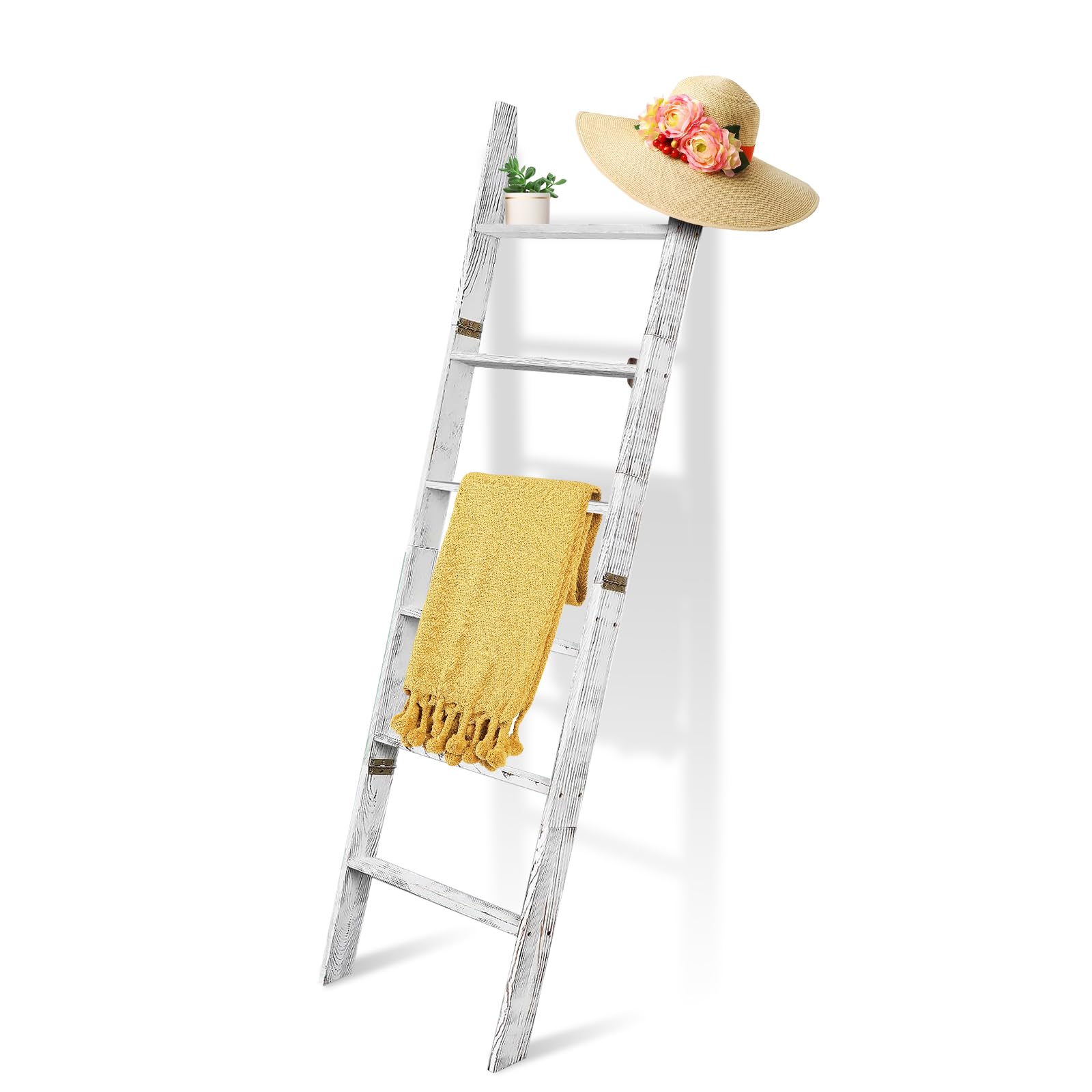 https://m.media-amazon.com/images/I/61x0VbsQJBL.jpg