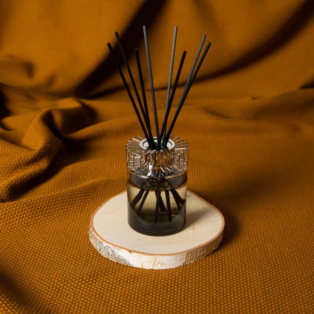 Amazon.com: Lampe Berger Scented Bouquet - Land - Moss-Green - 2.5