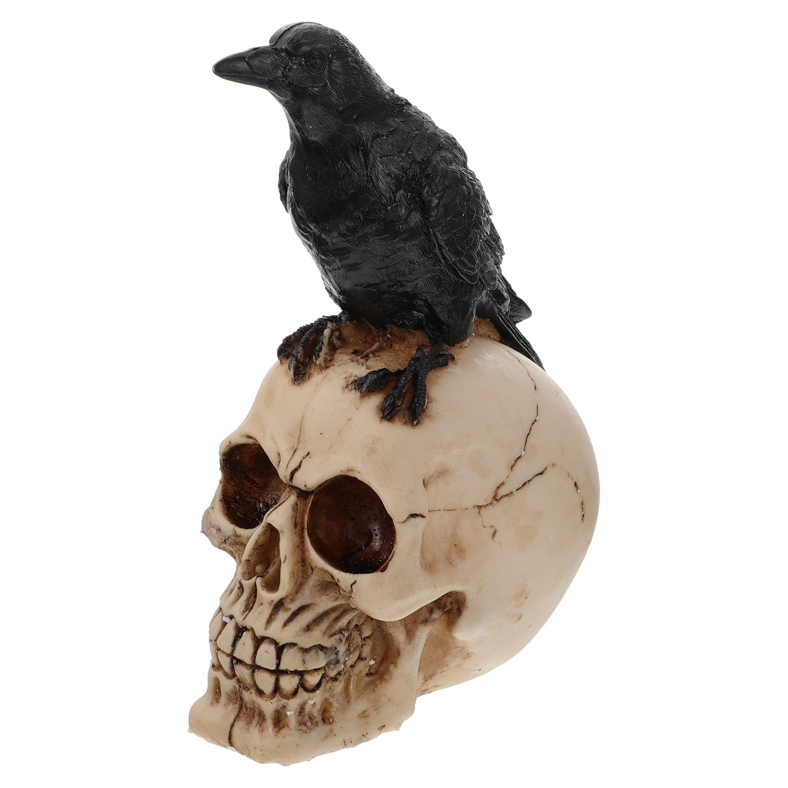 Figurine Corbeau et Crâne VALICLUD en résine légère pour décoration d'Halloween