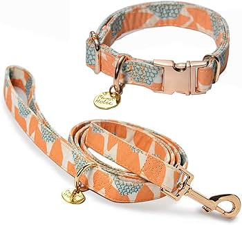 Amazon | 犬 首輪 リードセット 小型犬 中型犬 大型犬 犬のリード首輪