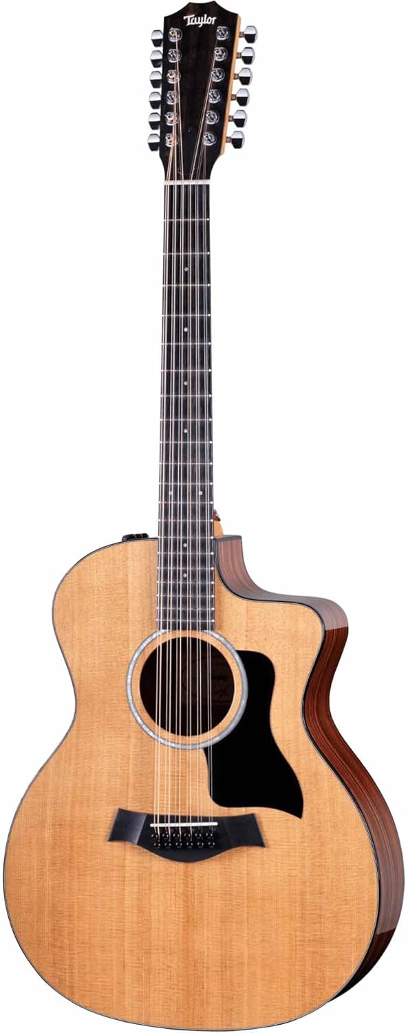 Taylor 254ce Plus 12-string Acoustic-electric Guitar 371