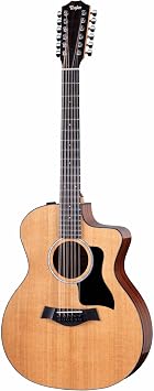Taylor 254ce Plus 12-string Acoustic-electric Guitar