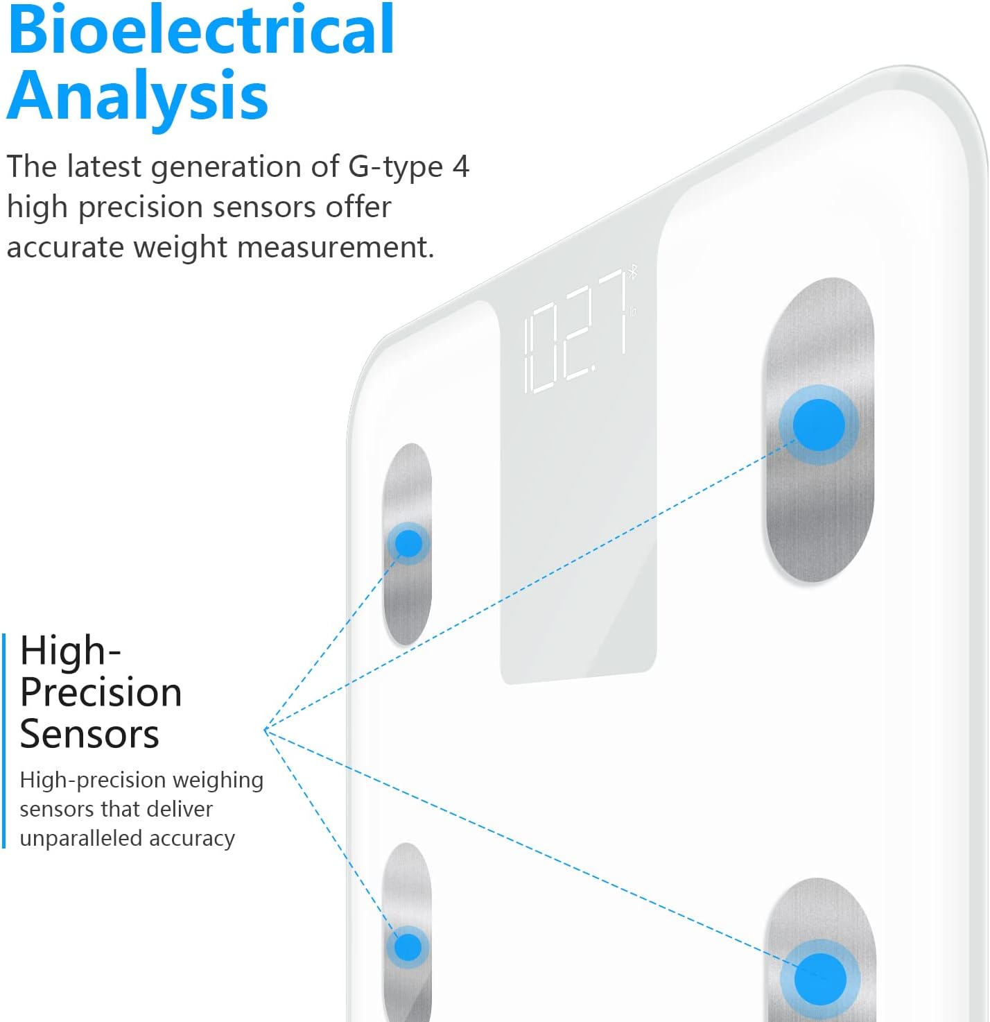 Close-up of scale sensors