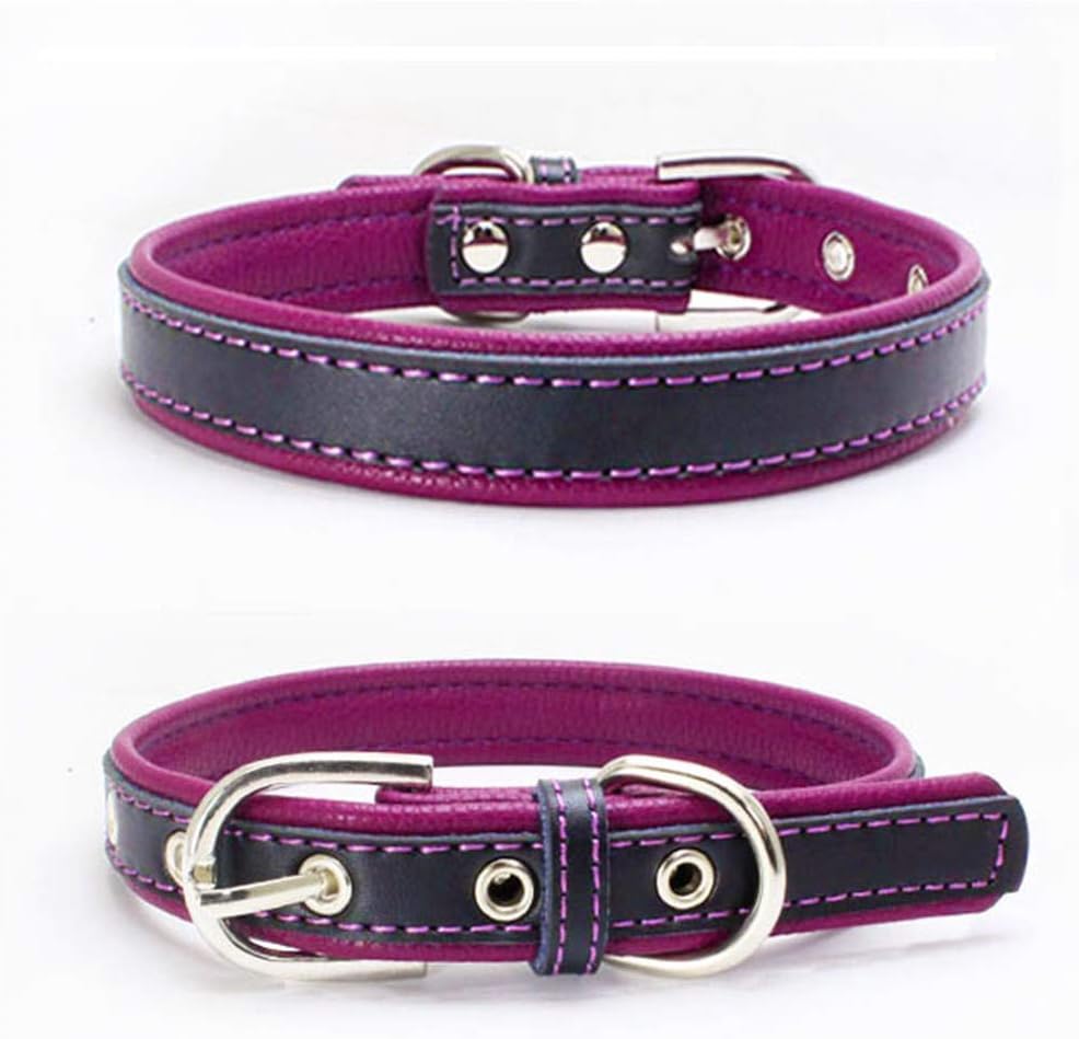 BONAWEN Dog Collar Padded Leather Soft Touch Pet Collar for Large,Medium,Small Dogs(Purple,L)