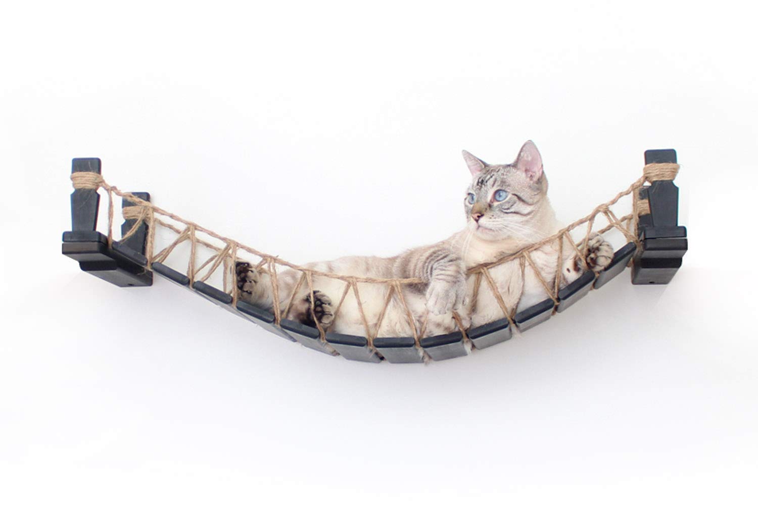 CatastrophiCreations Cat Bridge WallMounted Play and Lounge Toy Cat