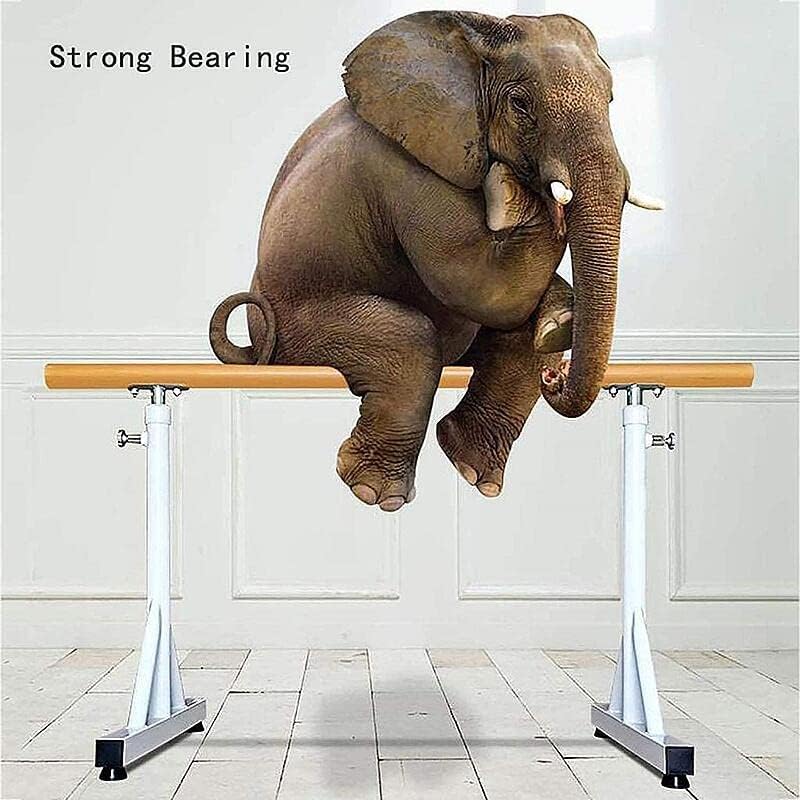 最低価格の バレエバー バレエレッスンスタンド バレエスタンド バレエポール 自宅練習 調節可能 自立型ダンスストレッチ ストレッチ バランス ピラティス ダンス バレエポータブル ジムホームエクササイズ ダンススティック ポールダンス 2色 Www Rubberdev Gov Lk 最低価格の バレエバー バレエレッスンスタンド バレエスタンド バレエポール 自宅練習 調節可能 自立型ダンスストレッチ ストレッチ バランス ピラティス ダンス バレエポータブル ジムホームエクササイズ ダンススティック ポールダンス 2色 Www Rubberdev Gov Lk