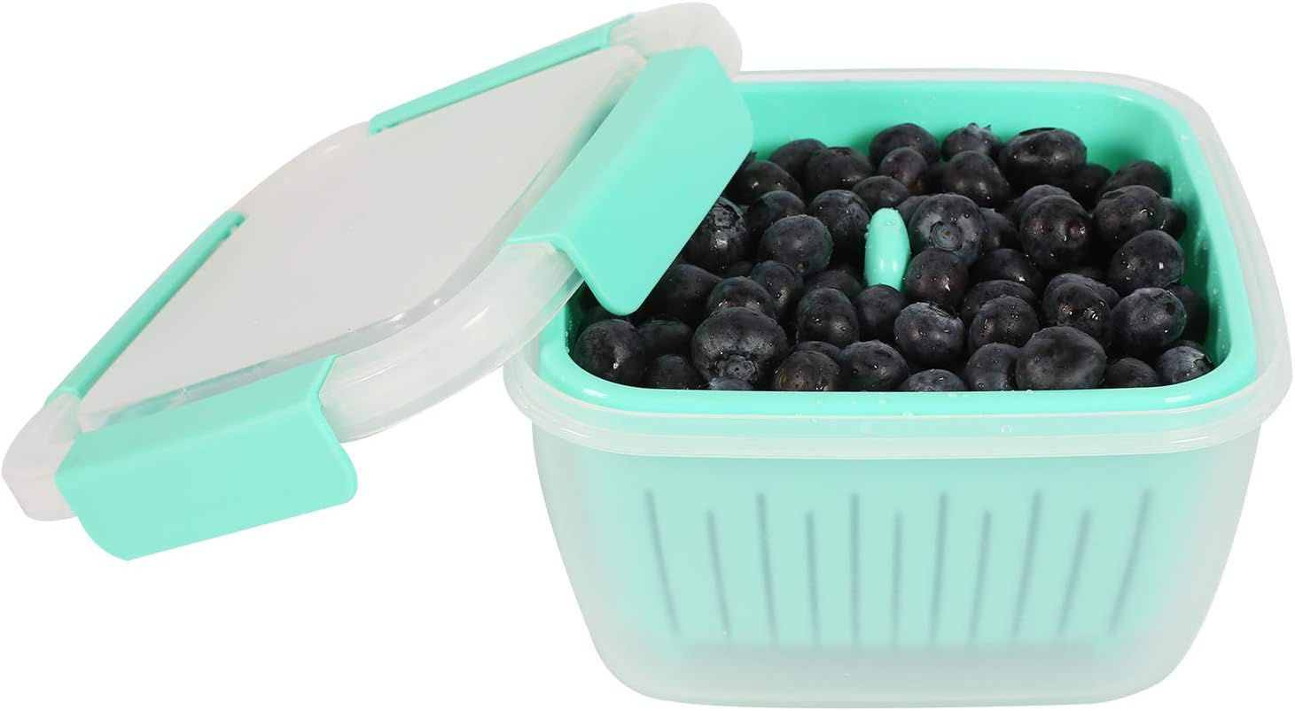 Shopwithgreen Berry Keeper Box Containers, Berry Boxes Keep Fresh