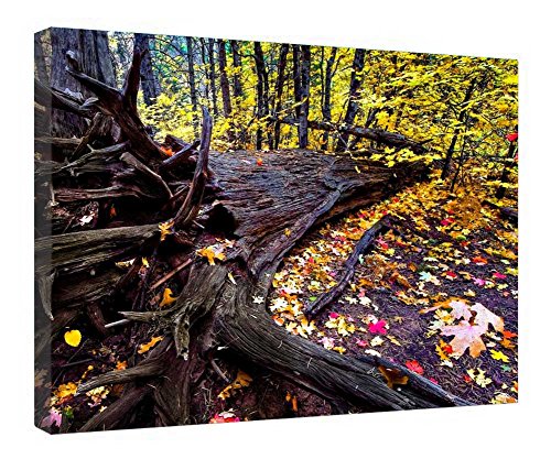 Impression sur toile forêt tableau bois suspendu déco chambre nature 40x50
