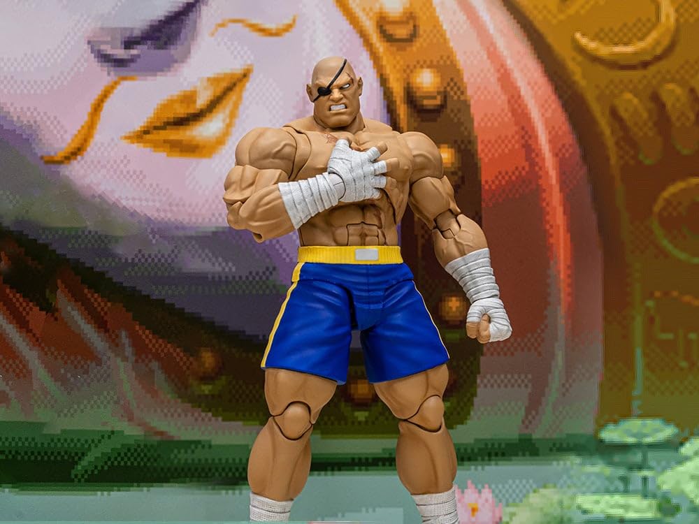 Amazon.com: Storm Arena Street Fighter Zero 3 Sagat 1/12 Scale