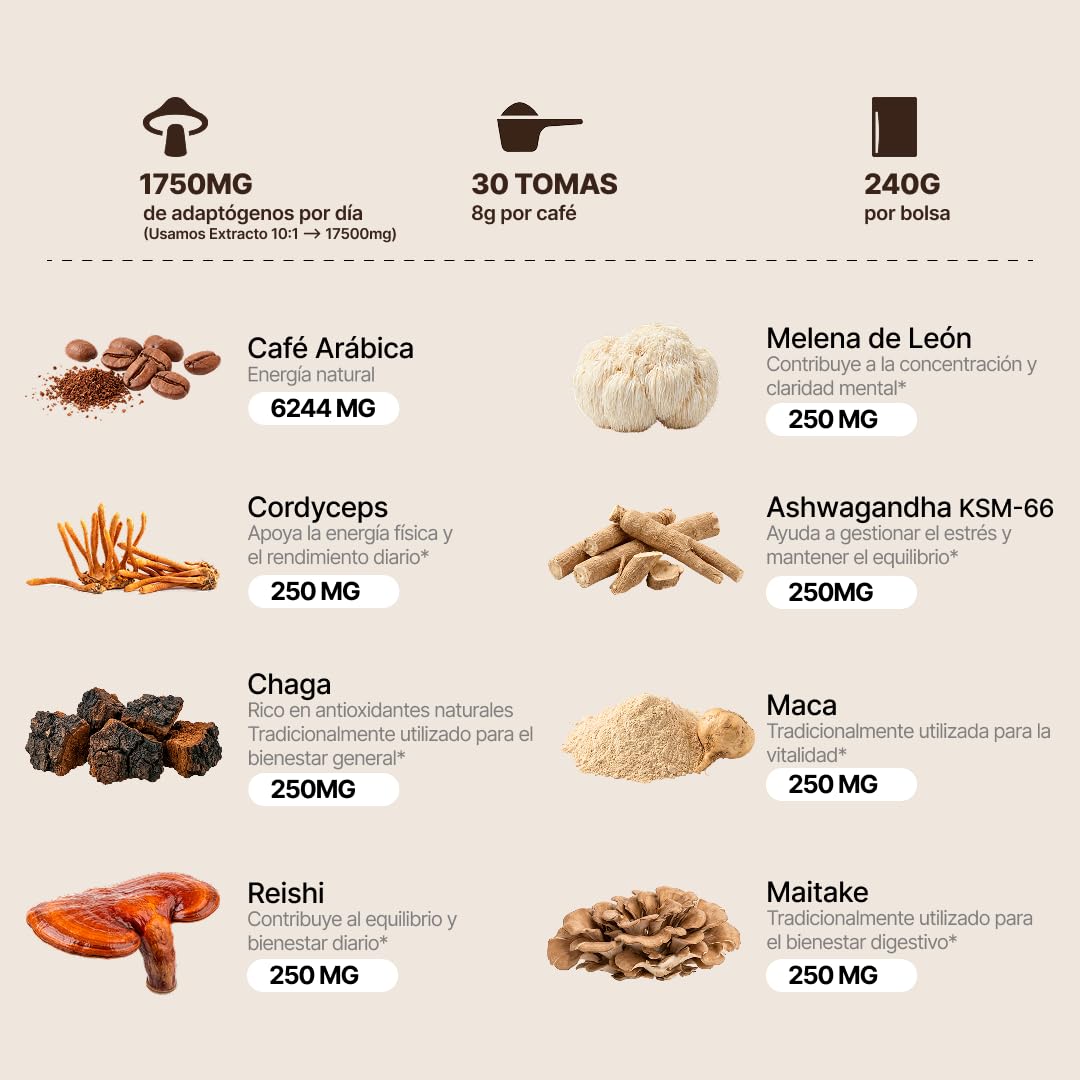 MYKOFI Café con Hongos Funcionales - Café Soluble con Melena de León, Cordyceps, Chaga, Reishi, Maitake, Maca y Ashwagandha - Energía Natural y Enfoque