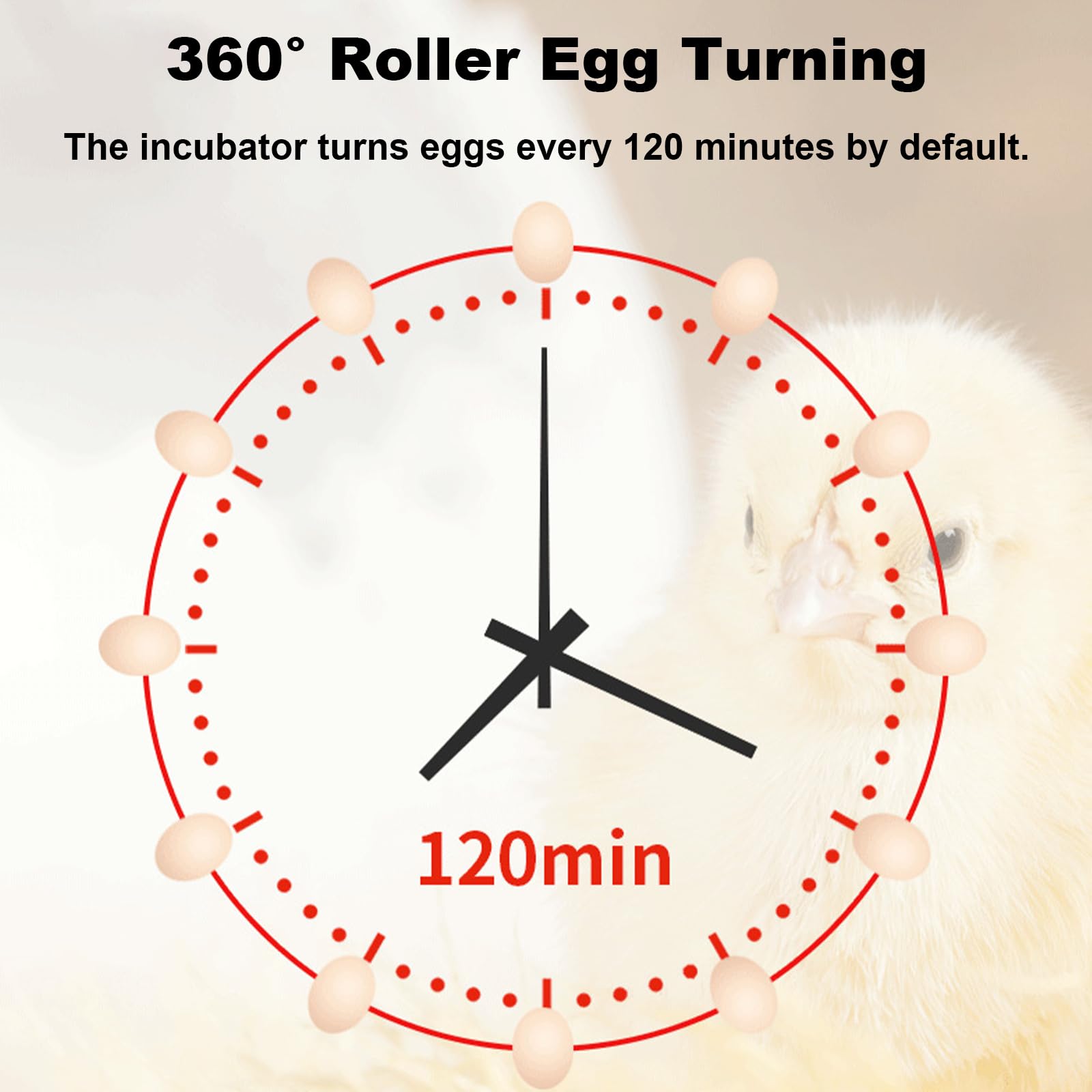 Incubadora automática de aves de corral, incubadora digital de huevos con control de temperatura para incubar pollos, patos y codornices - Capacidad de 9 huevos